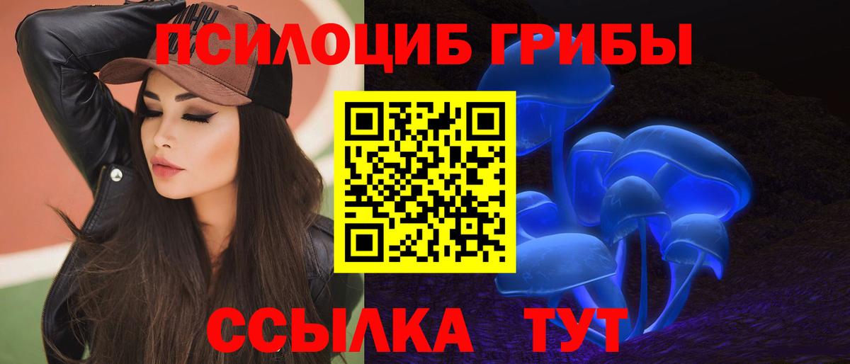Псилоцибиновые грибы мицелий  Вход с VPN  Уссурийск  Псилоцибиновые грибы GOLDEN TEACHER 